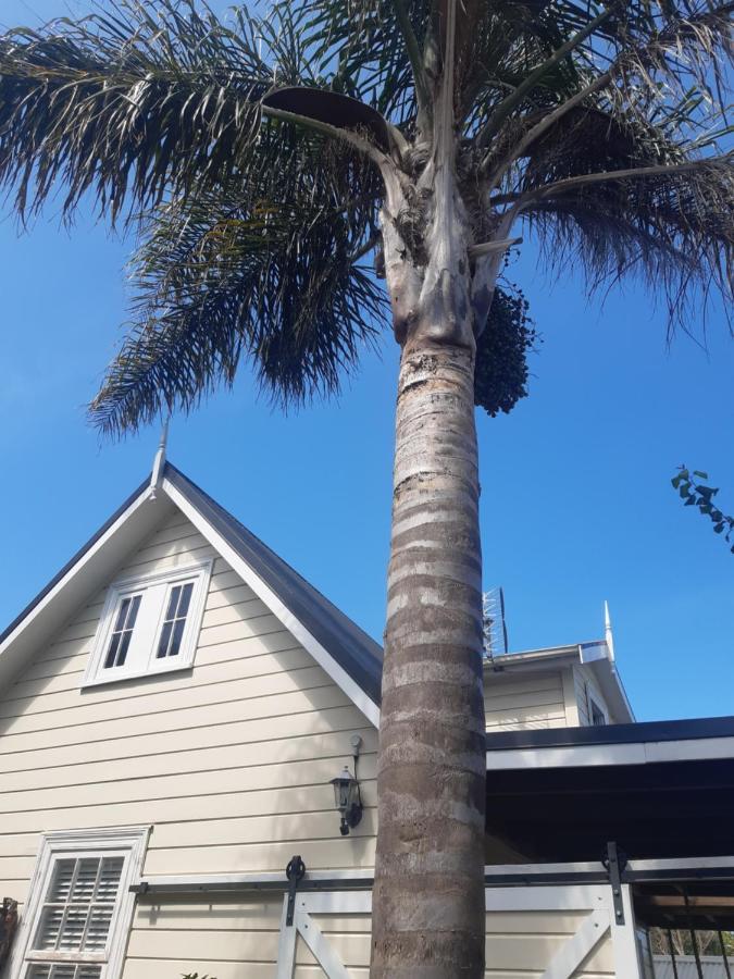 Harbour View Cottage Auckland Exterior foto