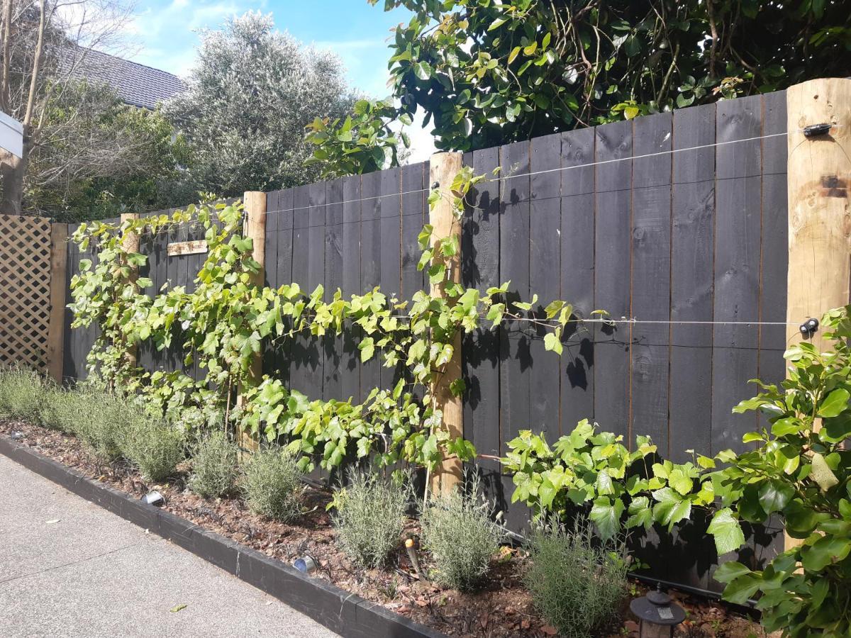Harbour View Cottage Auckland Exterior foto